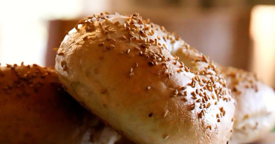 FAI CISL Romagna: successo totale alle elezioni RSU NTFOOD – Gruppo Morato