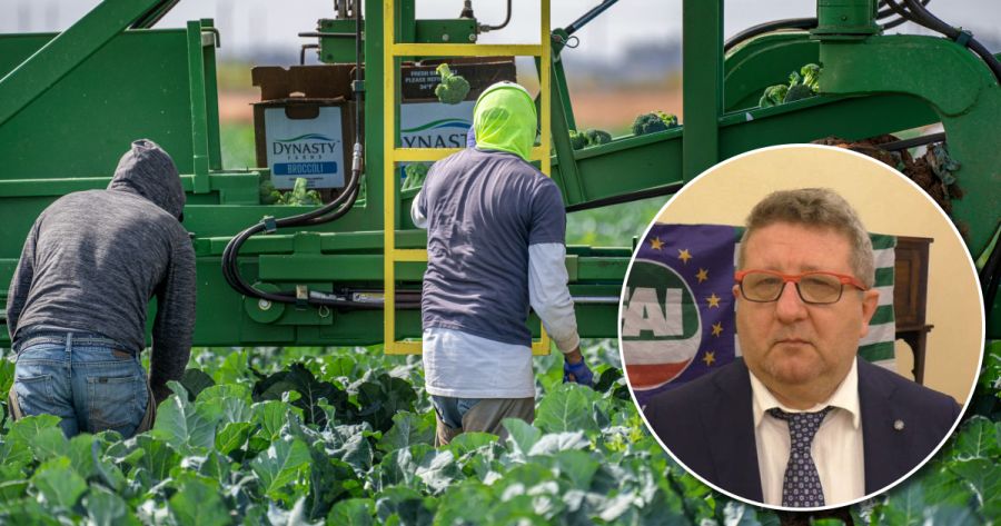 Lavoro grigio e caporalato in Romagna: una battaglia per la dignità, tra criticità e spiragli di speranza