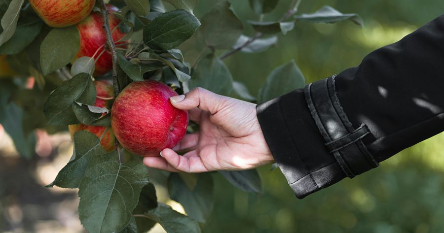 Agrisfera: firmato l’accordo il per contratto integrativo