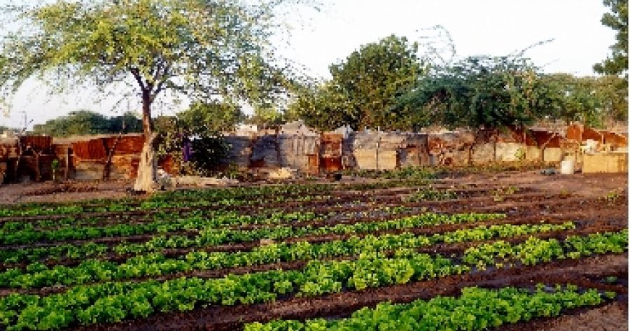 Empowerment di giovani e donne